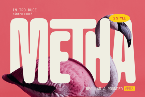 Metha: A Modern Typeface for Friendly Branding